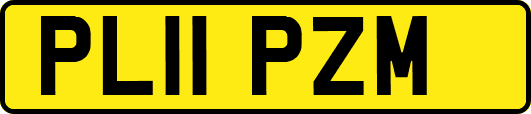 PL11PZM