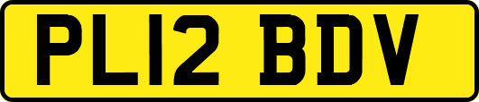 PL12BDV