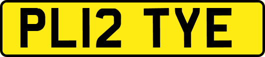 PL12TYE