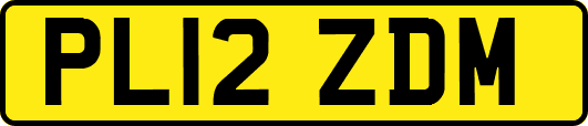 PL12ZDM