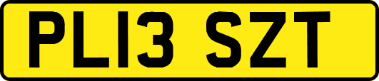 PL13SZT