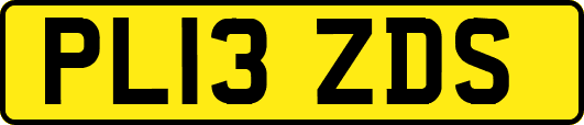 PL13ZDS