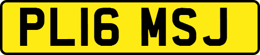 PL16MSJ