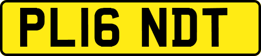 PL16NDT