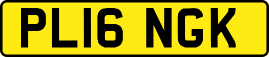 PL16NGK