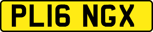 PL16NGX