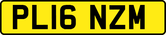 PL16NZM