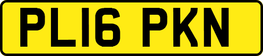 PL16PKN