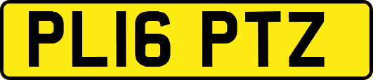 PL16PTZ