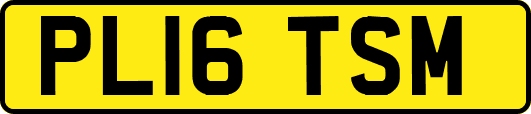PL16TSM