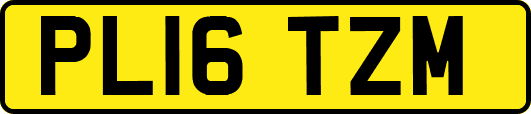 PL16TZM