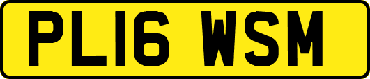 PL16WSM