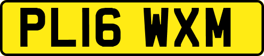PL16WXM