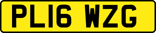 PL16WZG