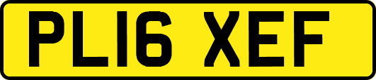 PL16XEF