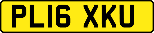 PL16XKU