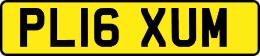 PL16XUM