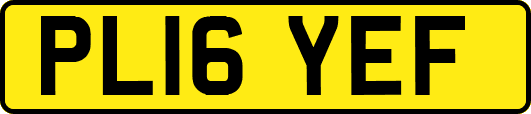 PL16YEF