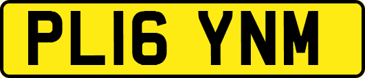PL16YNM