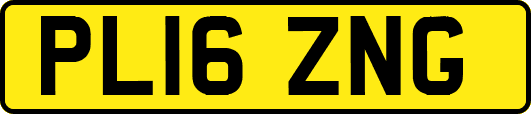 PL16ZNG