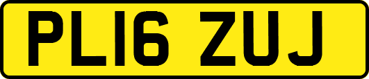 PL16ZUJ