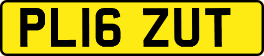PL16ZUT