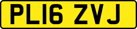 PL16ZVJ