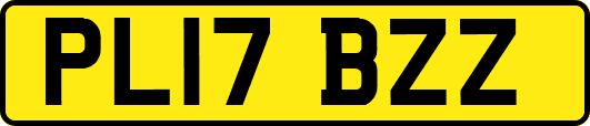 PL17BZZ