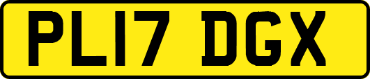 PL17DGX