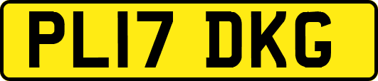 PL17DKG