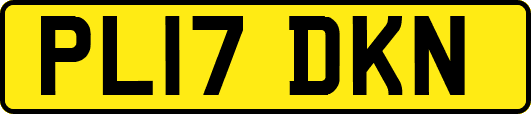 PL17DKN