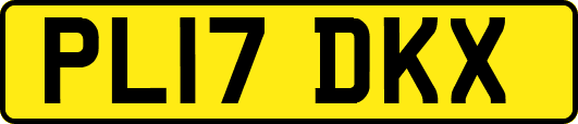PL17DKX
