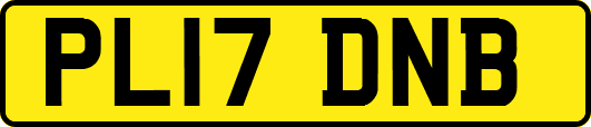 PL17DNB