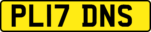 PL17DNS