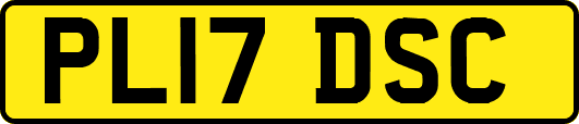 PL17DSC