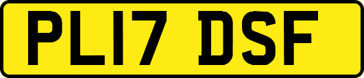 PL17DSF