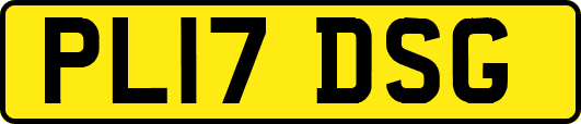 PL17DSG