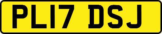 PL17DSJ