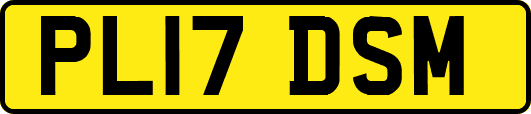 PL17DSM