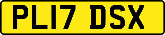 PL17DSX