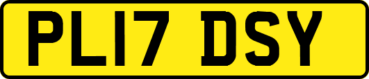 PL17DSY