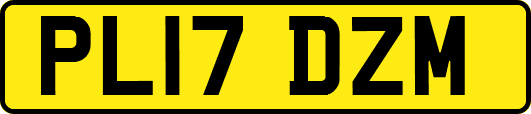 PL17DZM