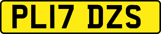 PL17DZS