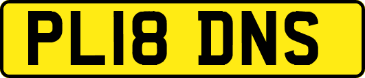 PL18DNS