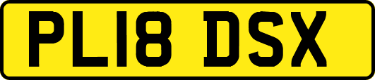 PL18DSX