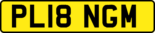 PL18NGM