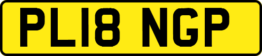 PL18NGP