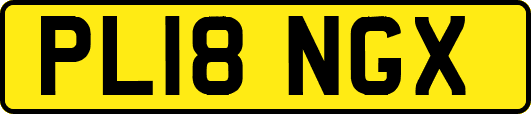 PL18NGX