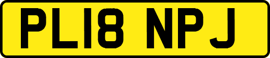 PL18NPJ