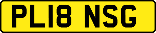 PL18NSG